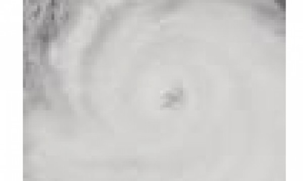 W K Webster & Co Ltd